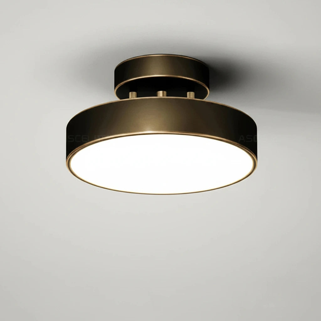 Ceiling light fixture with copper black-turn finish on a gray background